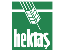 hektas-intmedia